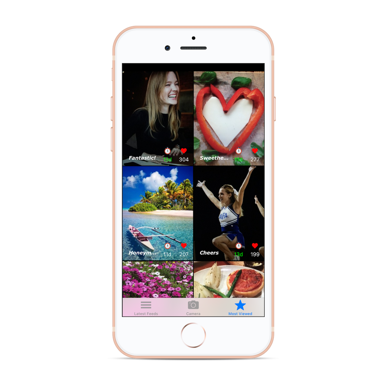 MayflyCam gallery image