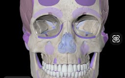 Easy Anatomy 3D media 2