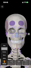 Easy Anatomy 3D gallery image