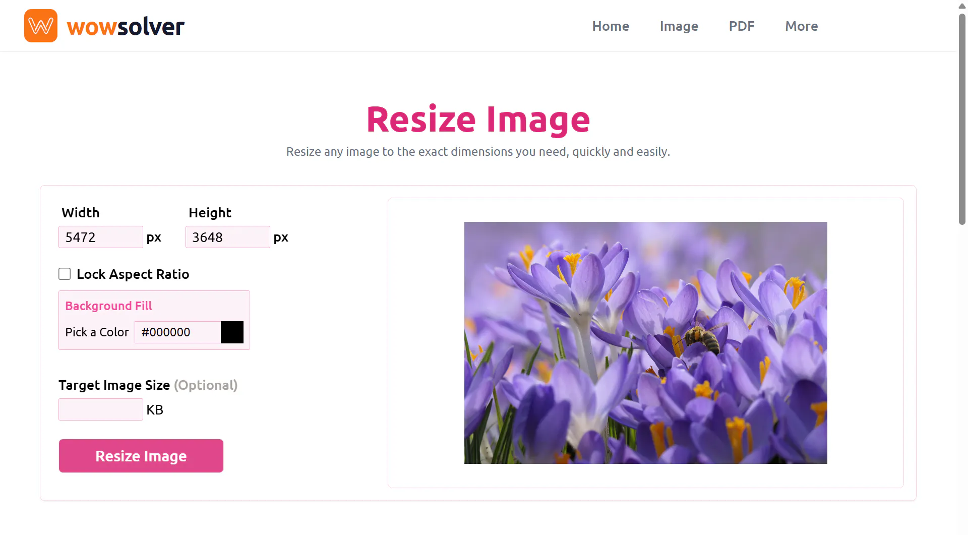WowSolver gallery image