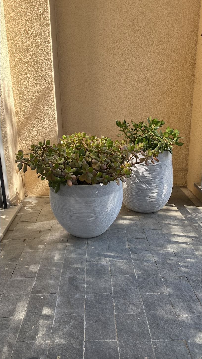 Poll option Original image