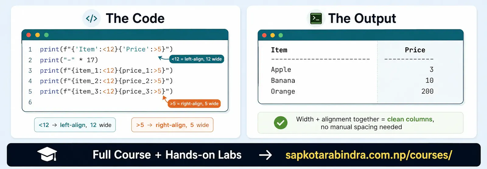 Python and Data Science Course wth Quiz screenshot 2