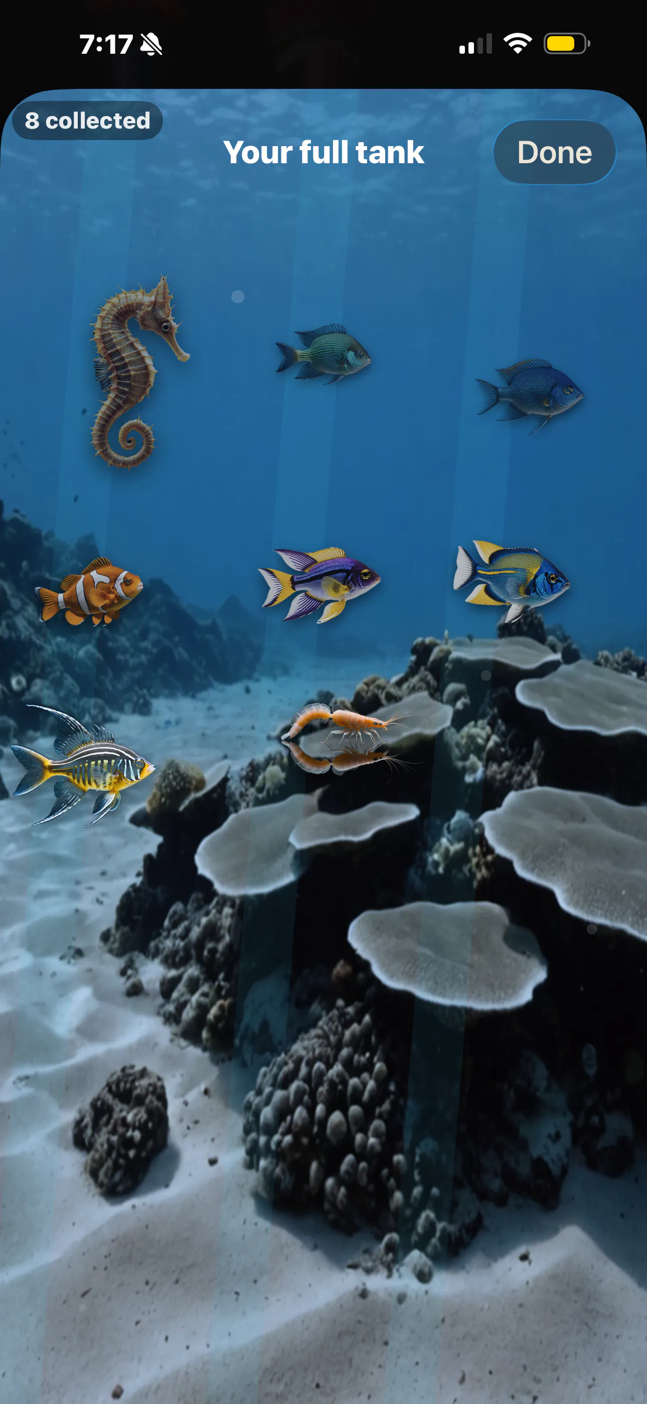 Undivided gallery image