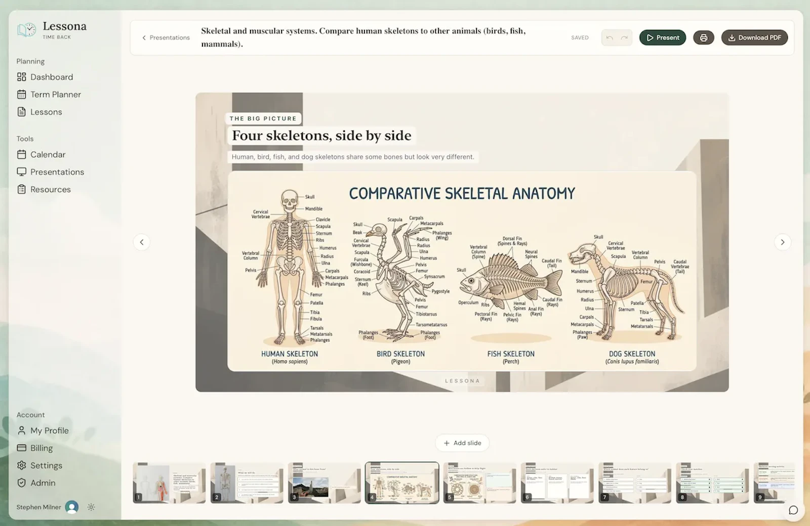Lessona screenshot 3
