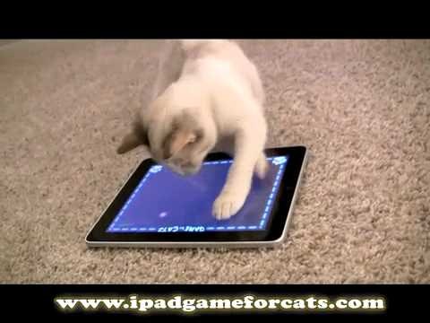 Game for Cats gallery image