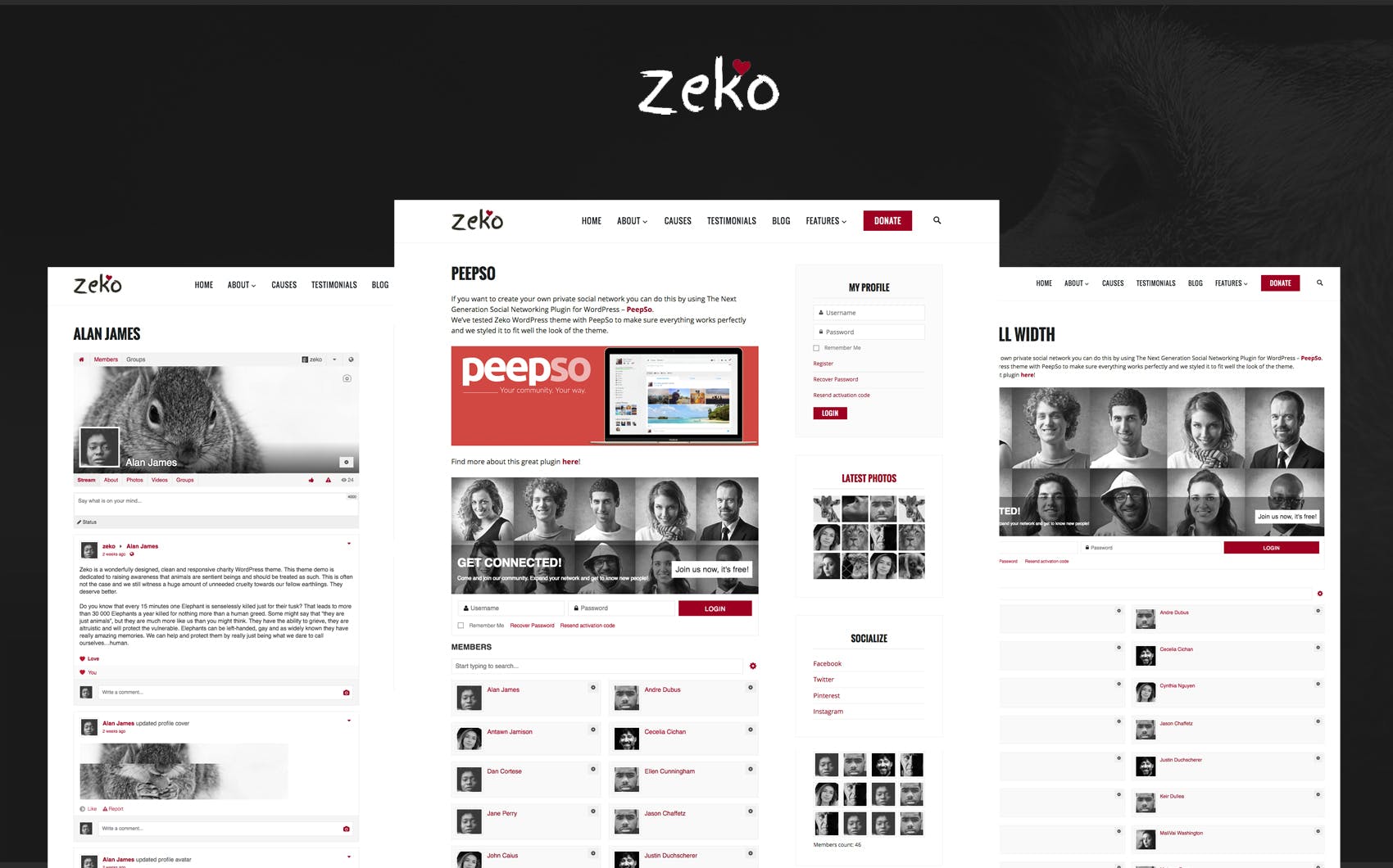 Non-Profit WordPress Theme - Zeko media 2