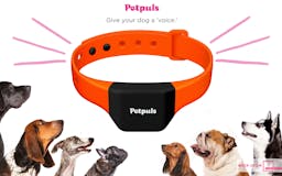 Petpuls: the AI-powered dog collar media 2