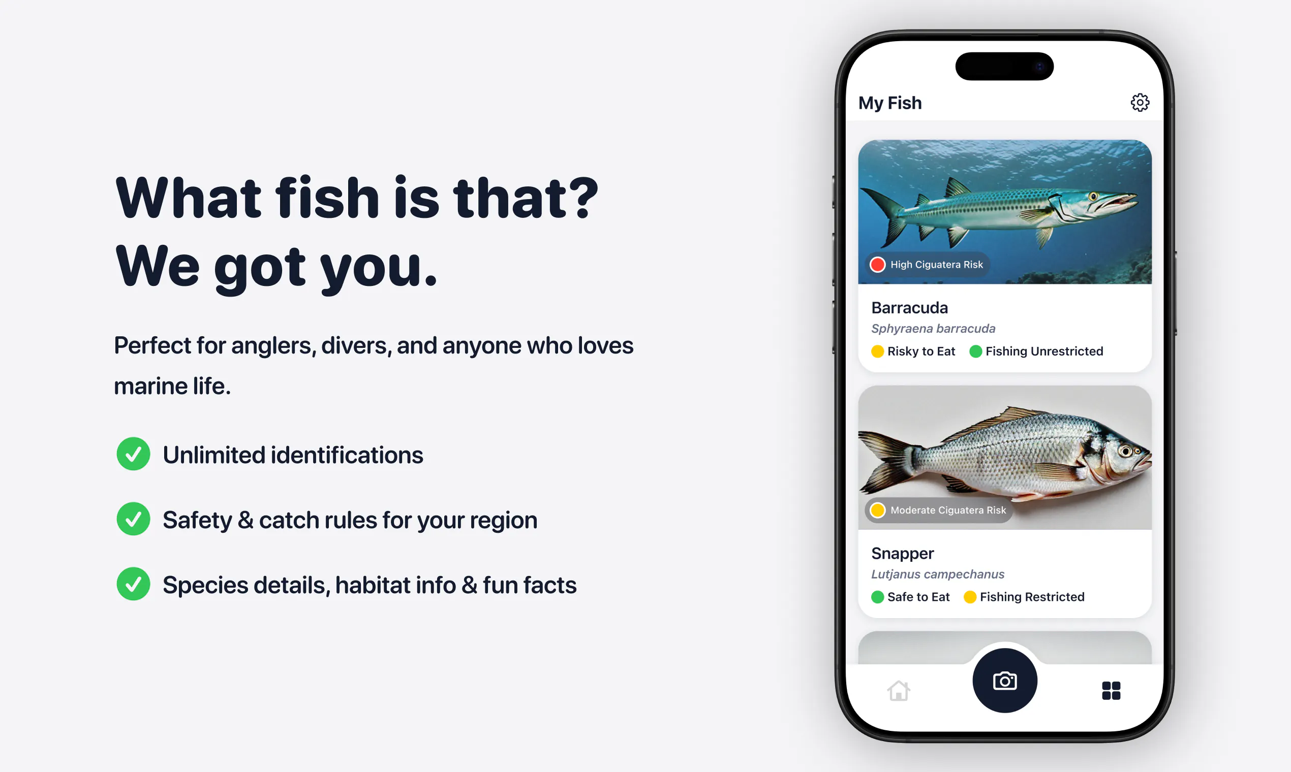 FishPic gallery image