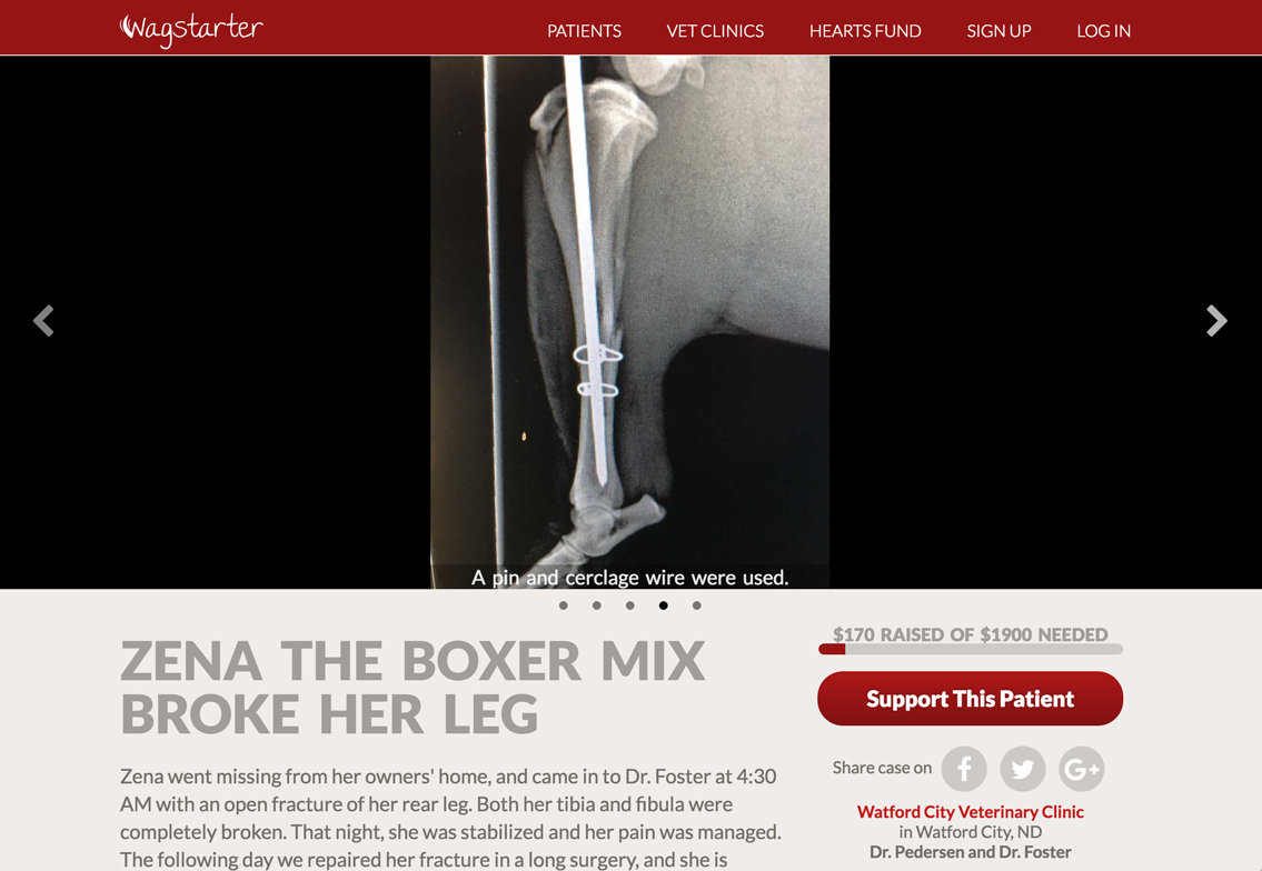 Wagstarter.org gallery image