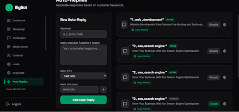 BigBot gallery image