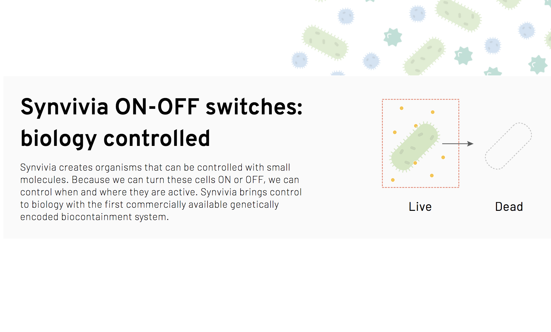 Synvivia gallery image