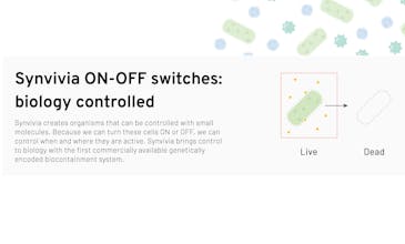 Synvivia gallery image