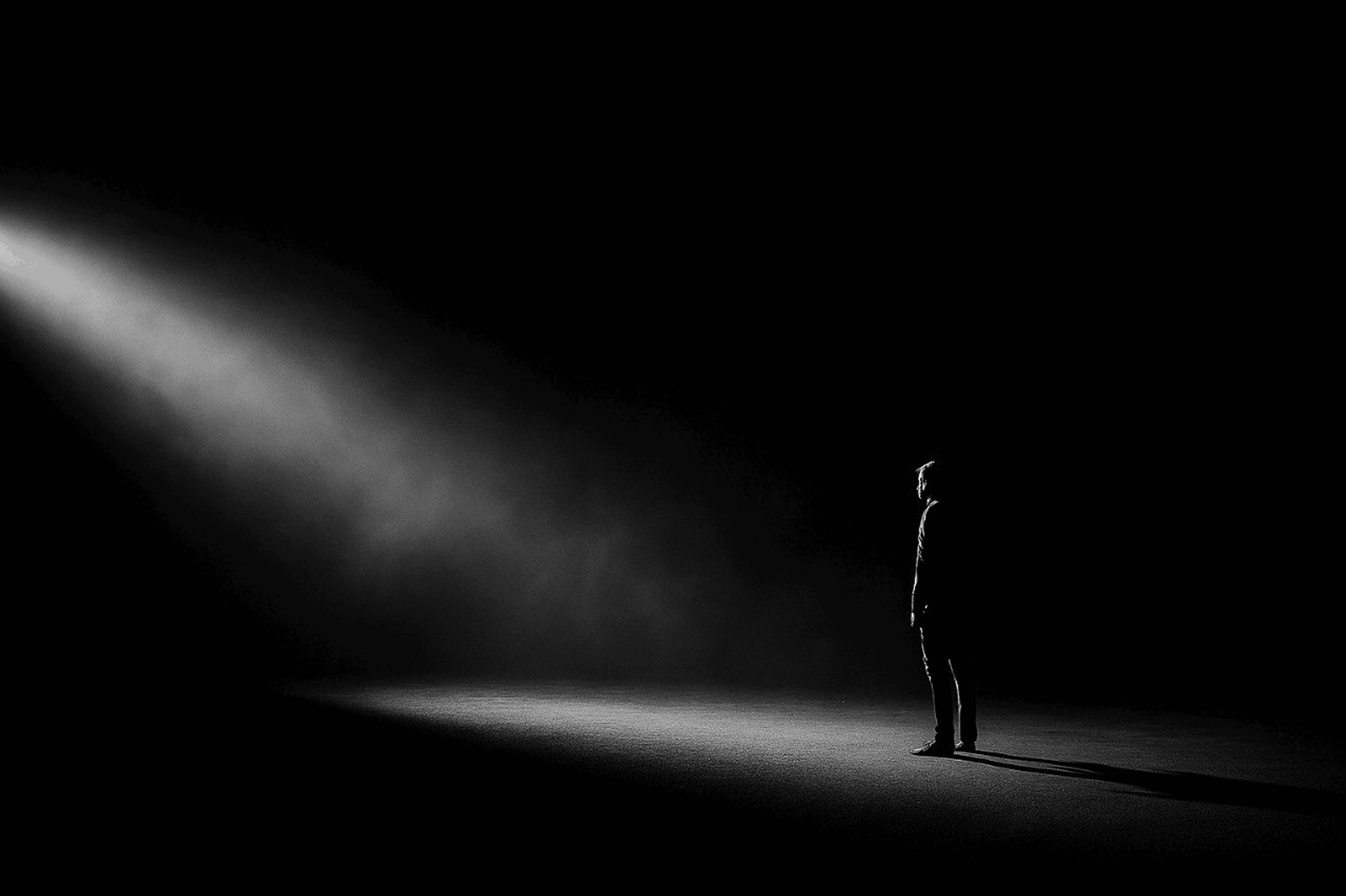 Owlyroyal - Screenshot 3 showing product features and functionality