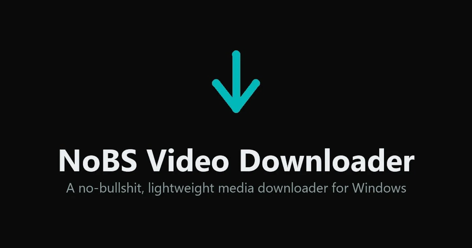 NoBS Video Downloader screenshot 2