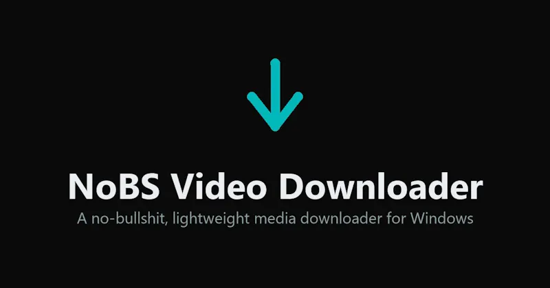 NoBS Video Downloader screenshot 2