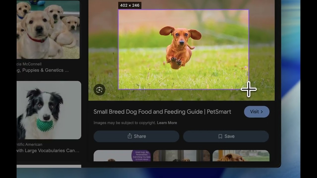 Snip - AI-powered macOS Screenshot Tool gallery image
