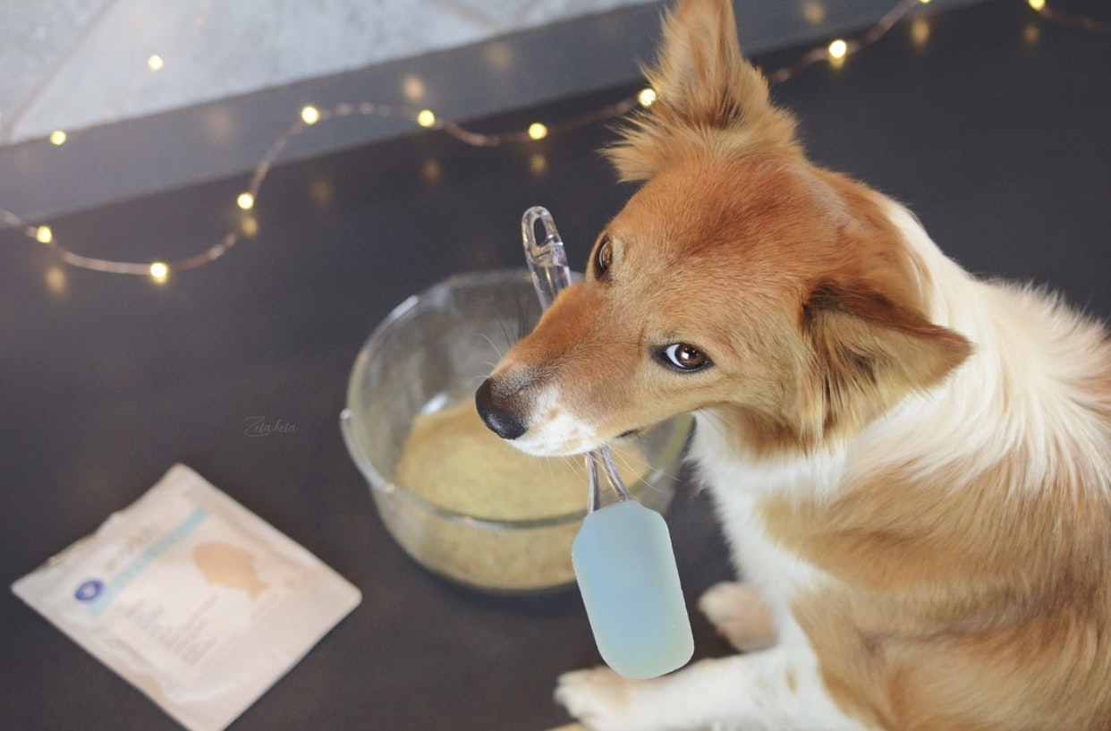 Wagadō gallery image