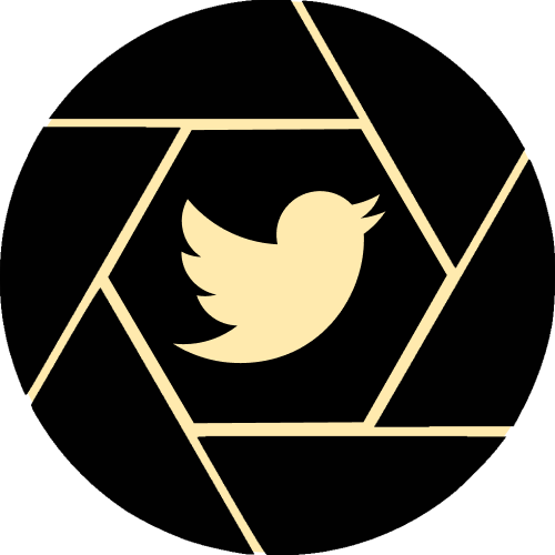 Capture My Tweet Extension logo