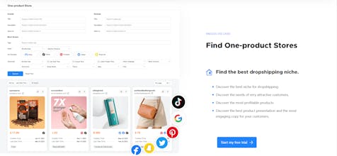 PPSPY - Dropshipping by AI gallery image