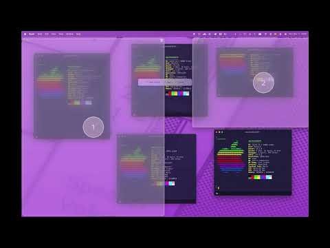 MacsyZones gallery image