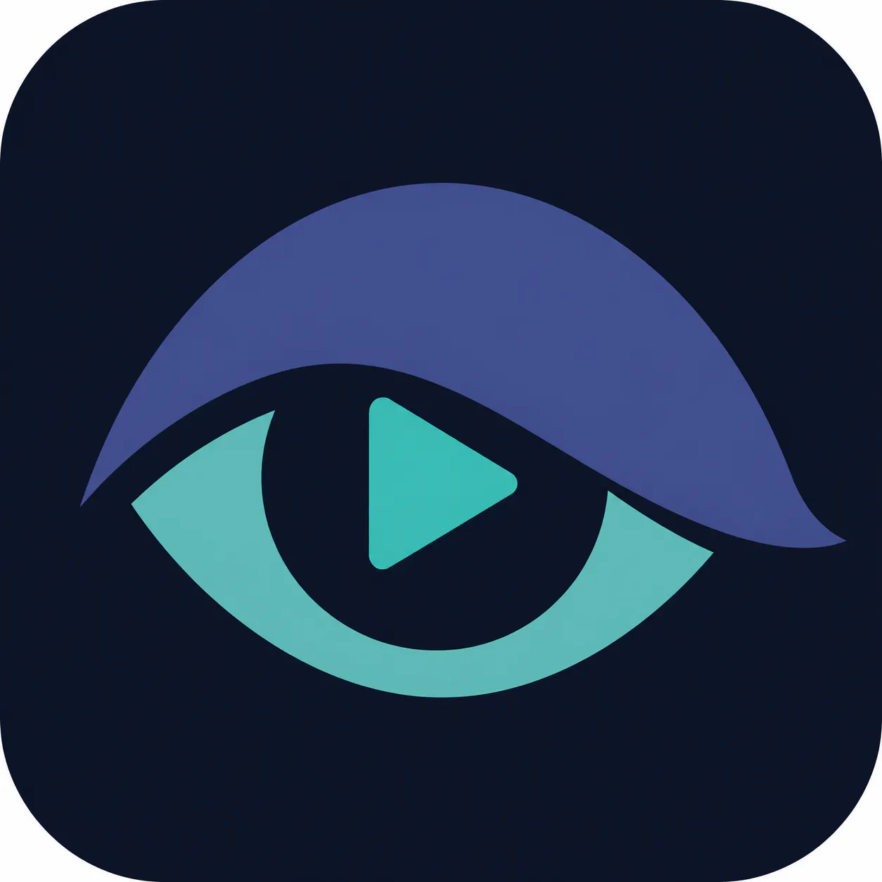 VidVeil