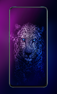 Download Over 100K HD Animal Wallpapers gallery image