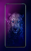 Download Over 100K HD Animal Wallpapers gallery image