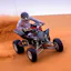 Dubai Evening Desert Safari: BBQ Dinner