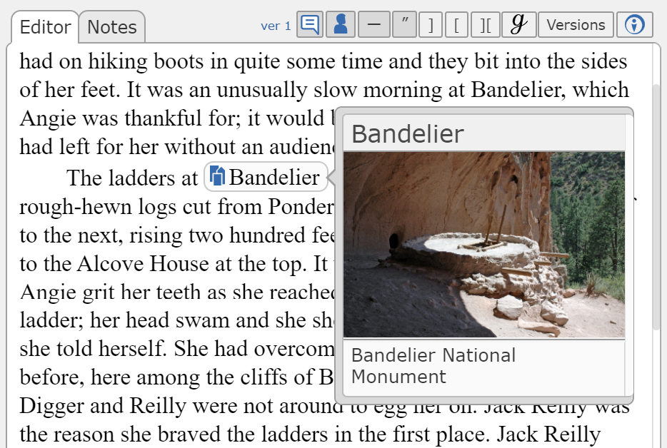 INDE Writer for Novelists gallery image