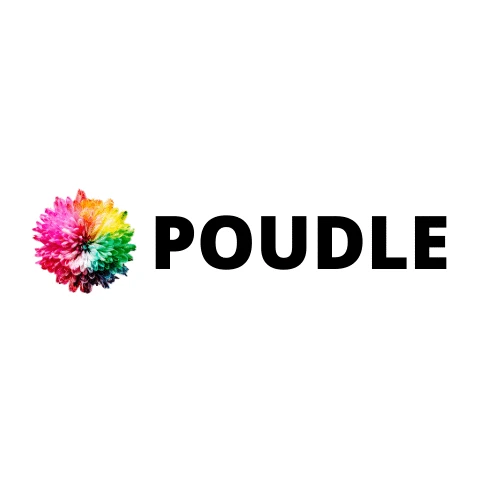Poudle Mindfulness Deal
