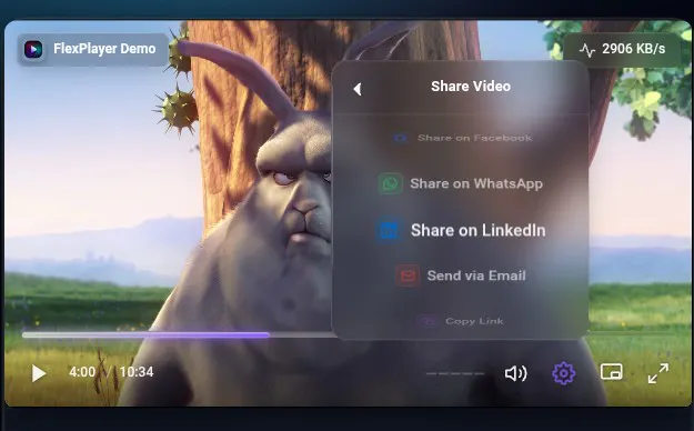 FlexPlayer Studio gallery image