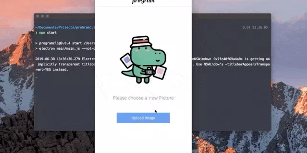 ProGram Image