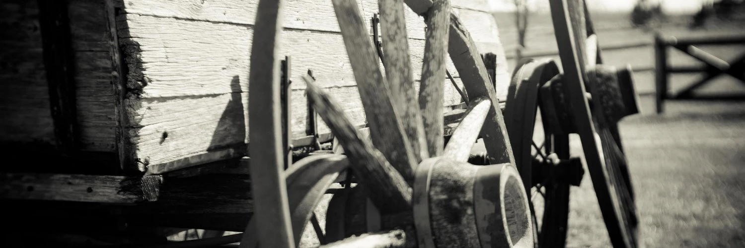 Varuna Jayasiri cover