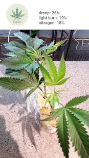 Kindbot Buddy gallery image