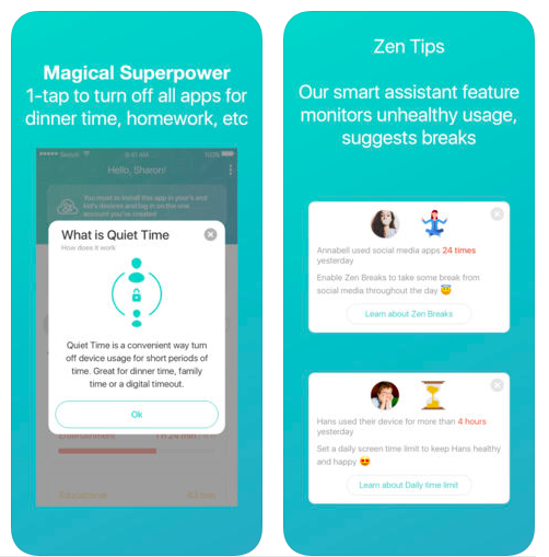 ZenScreen gallery image