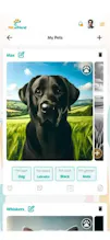 Petafriend gallery image