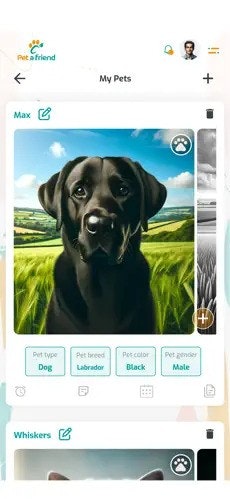 Petafriend media 1