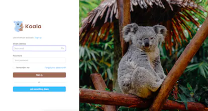 Koala gallery image