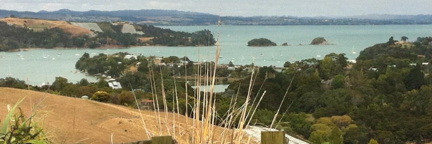 Ophelie Lechat cover