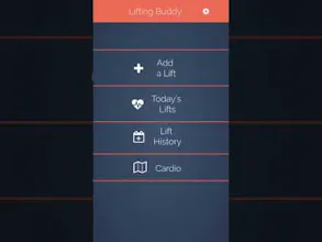 Lifting Buddy gallery image