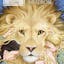 The Lion, The Witch and the Wardrobe