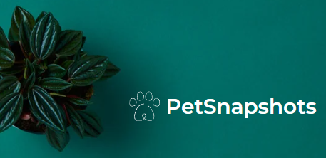 PetSnapshots media 1