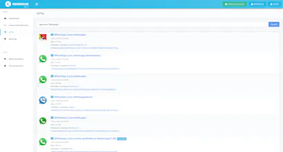 Koodous gallery image