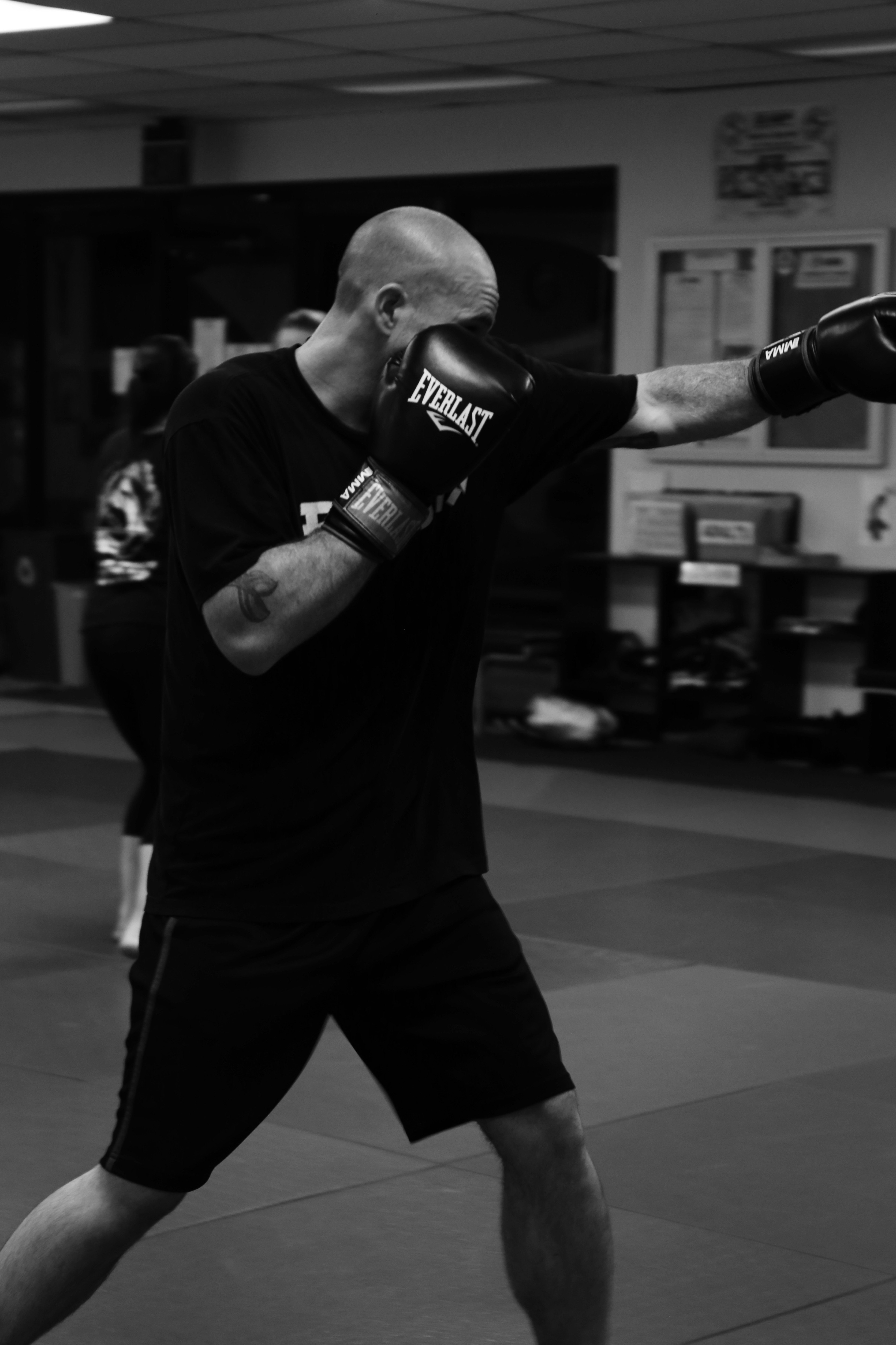 Freeplay gallery image