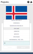 Flagsake. gallery image