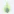 Contribution Streak Maintainer