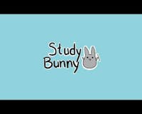 Study Bunny media 1