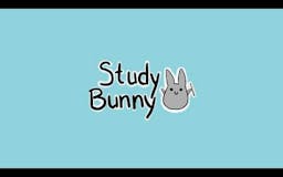Study Bunny media 1