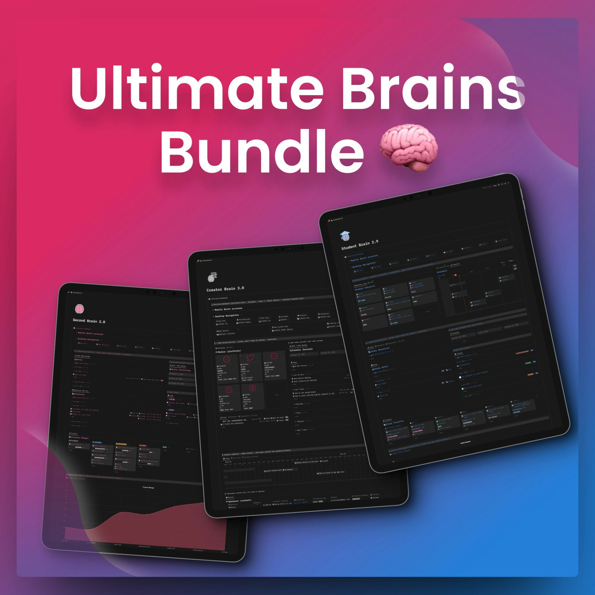 Ultimate Brains -bundel - Beheers je leven met de Ultimate Brains -bundel media 1