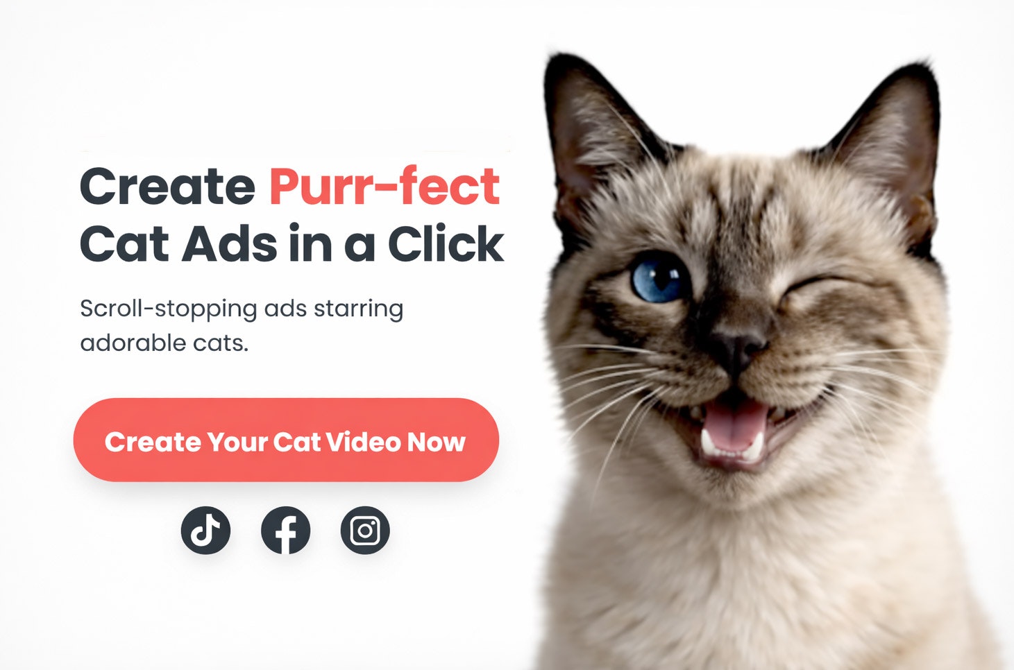 Purrfluencer - Main product screenshot demonstrating key features and user interface